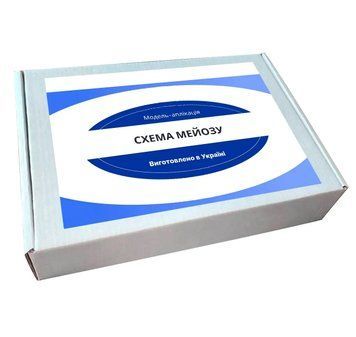 Модель-аплікація "Схема мейозу" 2508 фото