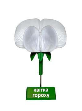 Об'ємна демонстраційна модель "Будова квітки гороху" 4178 фото